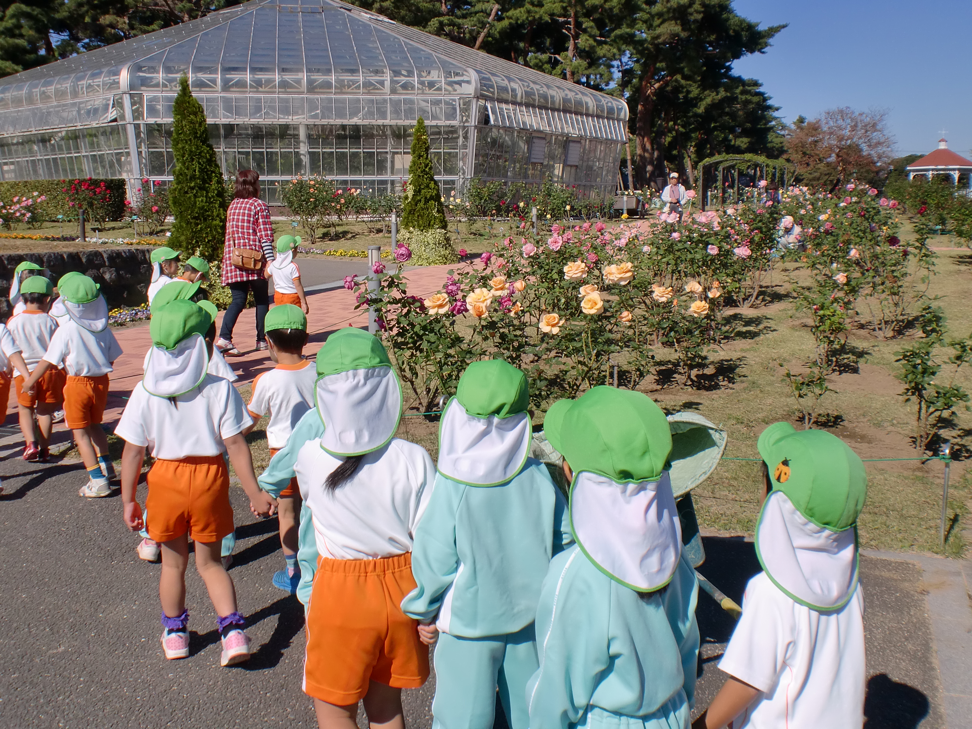 まつぼっくり どんぐり拾い にじ組 ひよこプリスクール 高崎市の幼保連携型認定こども園